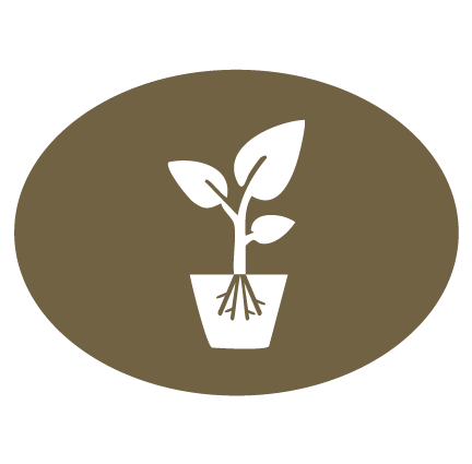 Illustrative icon of plant in pot showing roots
