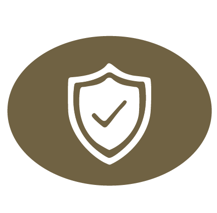 Illustrative icon of shield with check mark inside